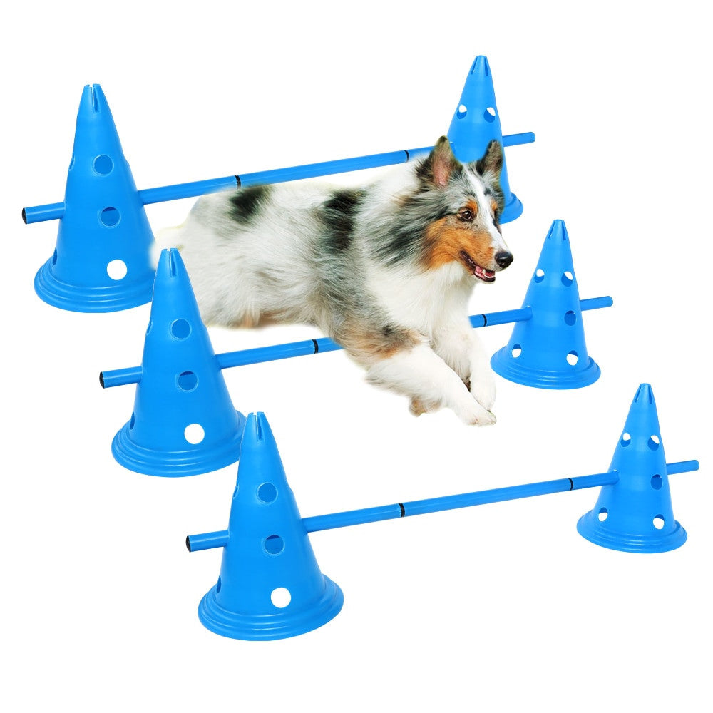 Dogs Agility Equipment-5