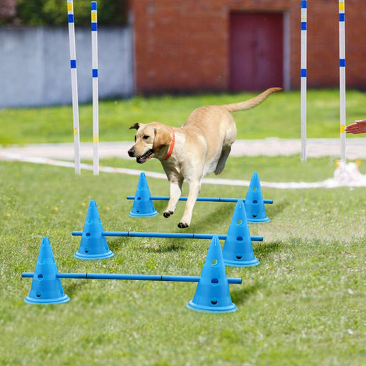 Dogs Agility Equipment-0